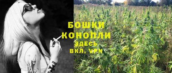 прущие грибы Михайловск