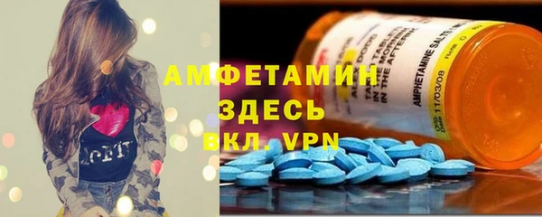 прущие грибы Медвежьегорск