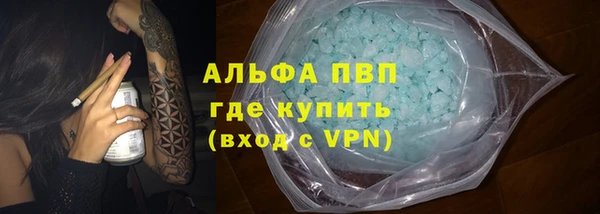 прущие грибы Михайловск