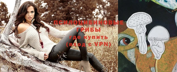 первитин Медногорск