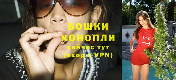 прущие грибы Медвежьегорск