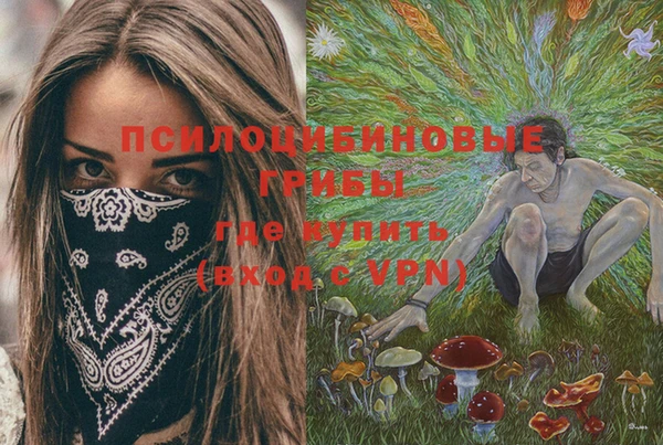 прущие грибы Михайловск