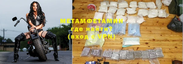 прущие грибы Михайловск