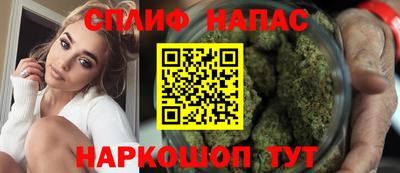 спиды Моздок