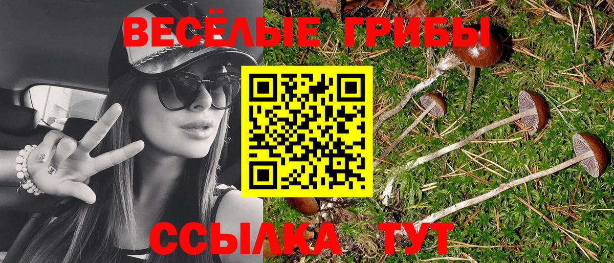 Галлюциногенные грибы ЛСД Липецк